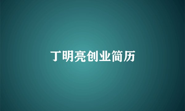 丁明亮创业简历