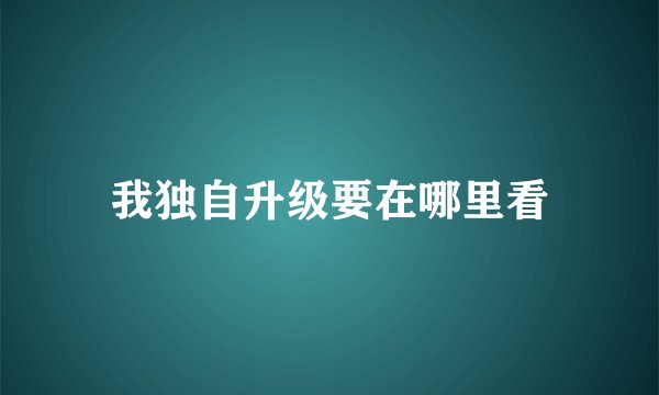 我独自升级要在哪里看