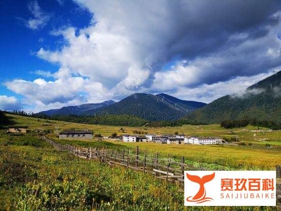 318川藏线租车成都出发一台车多少钱?