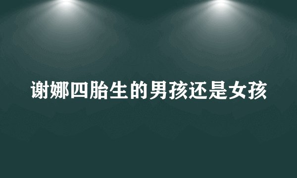 谢娜四胎生的男孩还是女孩