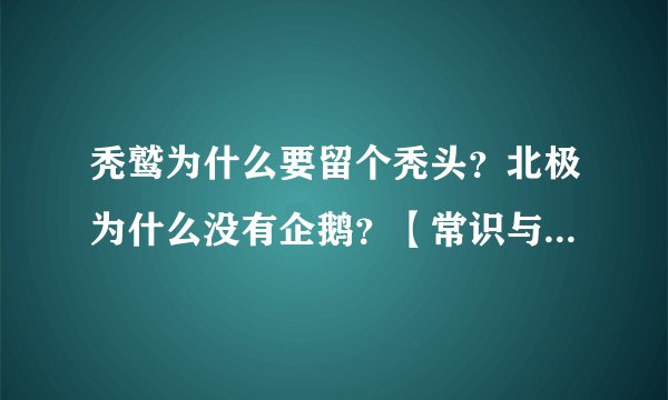 秃鹫为什么要留个秃头？北极为什么没有企鹅？【常识与误区48】