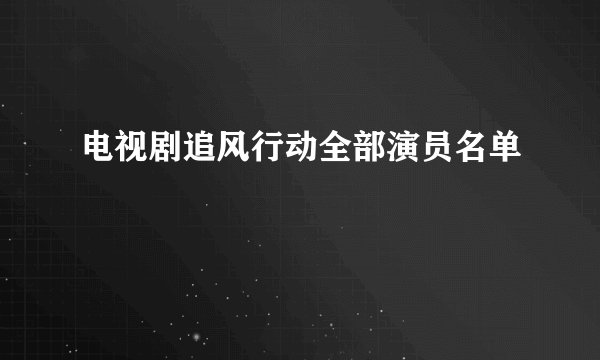 电视剧追风行动全部演员名单