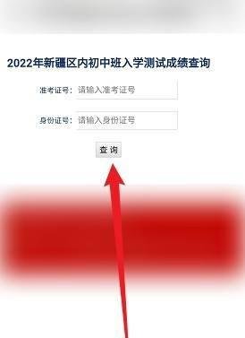新疆内初班考试成绩怎么查询