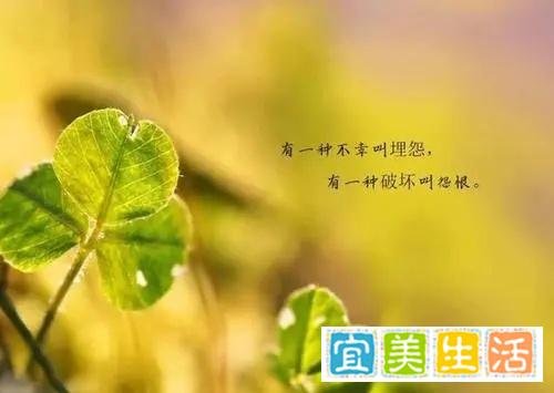 婆媳关系心理咨询