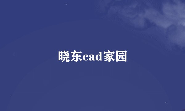 晓东cad家园