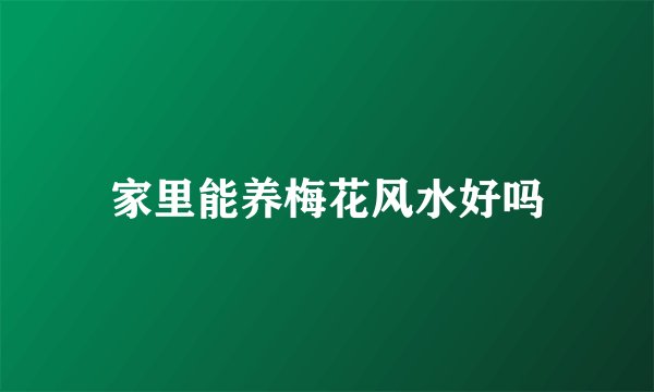 家里能养梅花风水好吗