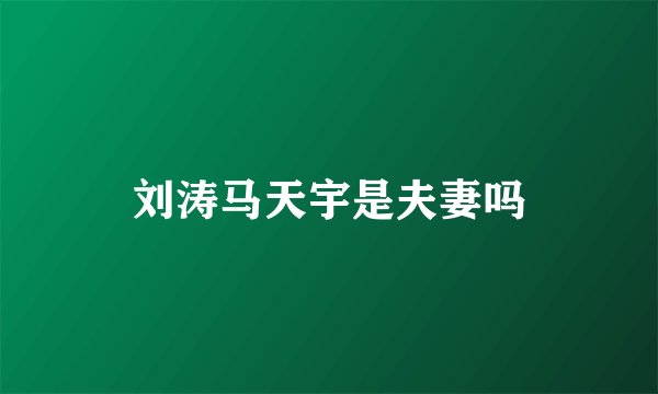 刘涛马天宇是夫妻吗