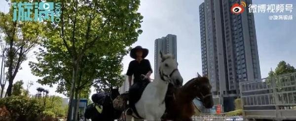 夫妻骑马从新疆回福建已花30多万 这是咋情况？