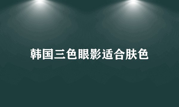 韩国三色眼影适合肤色