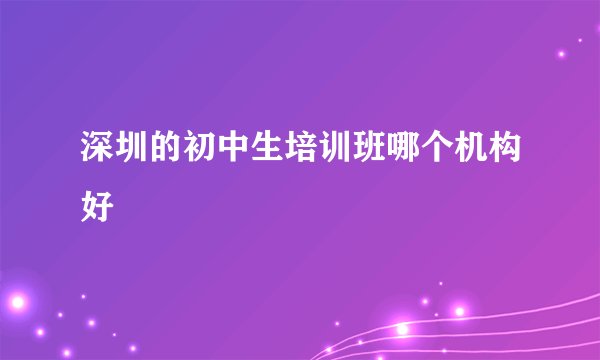 深圳的初中生培训班哪个机构好