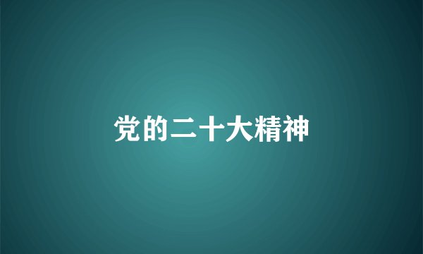 党的二十大精神