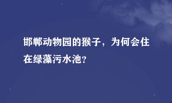 邯郸动物园的猴子,为何会住在绿藻污水池?