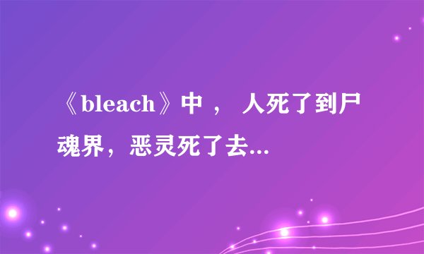 《bleach》中 ， 人死了到尸魂界，恶灵死了去地狱，那死神死了去哪里？