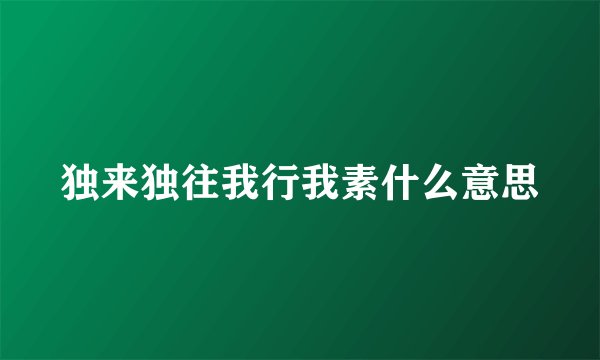 独来独往我行我素什么意思