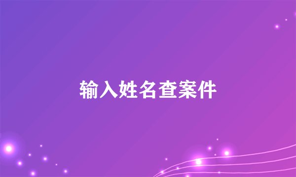 输入姓名查案件
