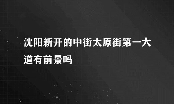 沈阳新开的中街太原街第一大道有前景吗