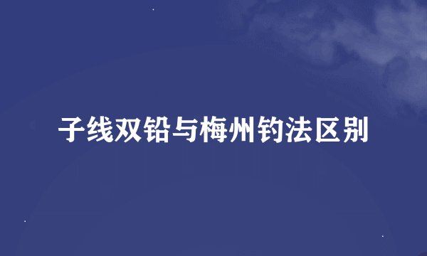 子线双铅与梅州钓法区别