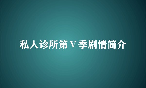 私人诊所第Ⅴ季剧情简介