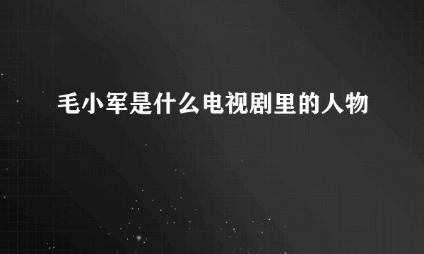 毛小军是什么电视剧里的人物