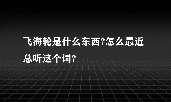 飞海轮是什么东西?怎么最近总听这个词?