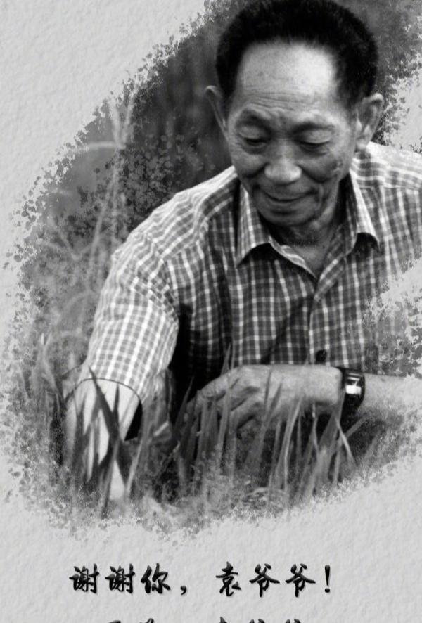 袁隆平遗体告别：倾尽一城花，只为奠一人
