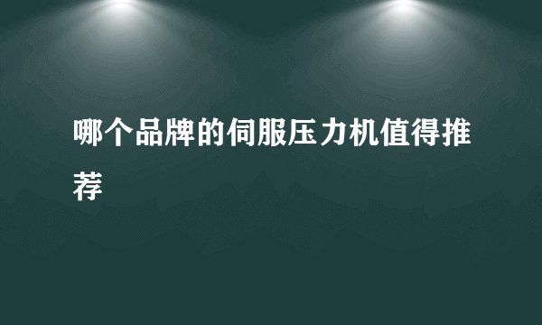 哪个品牌的伺服压力机值得推荐