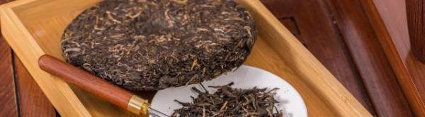 福云六号是什么茶 福云六号是哪种茶