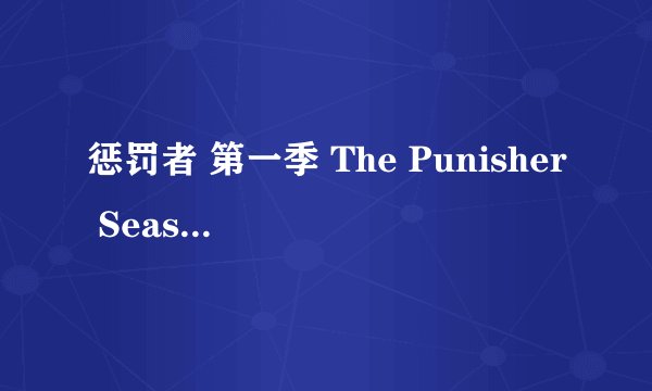 惩罚者 第一季 The Punisher Season 1 (2017)全集未删减高清版免费下载