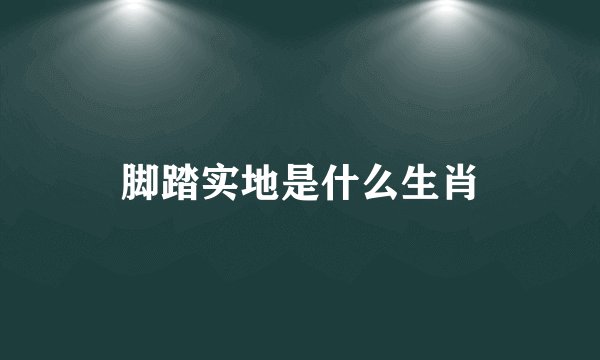 脚踏实地是什么生肖