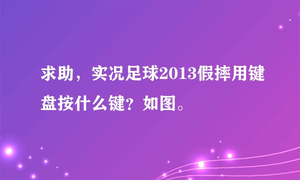 求助，实况足球2013假摔用键盘按什么键？如图。