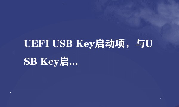UEFI USB Key启动项，与USB Key启动项的区别是什么