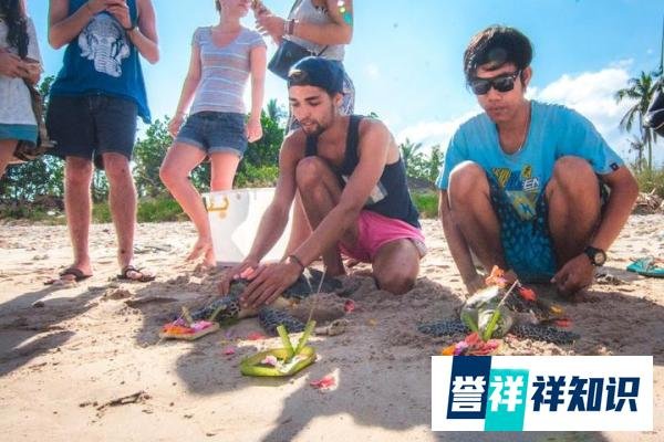 关于格林卫以及我们为什么要做国际义工旅行这件事儿