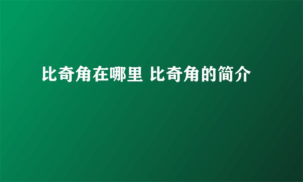 比奇角在哪里 比奇角的简介