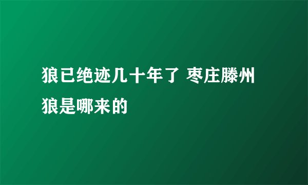狼已绝迹几十年了 枣庄滕州狼是哪来的