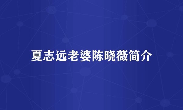 夏志远老婆陈晓薇简介
