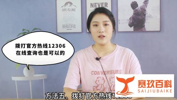 12306火车停运公告在哪里看