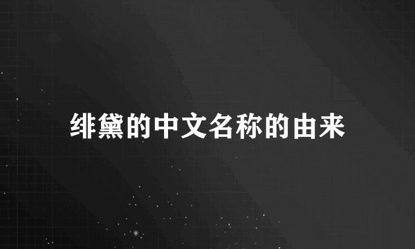 绯黛的中文名称的由来