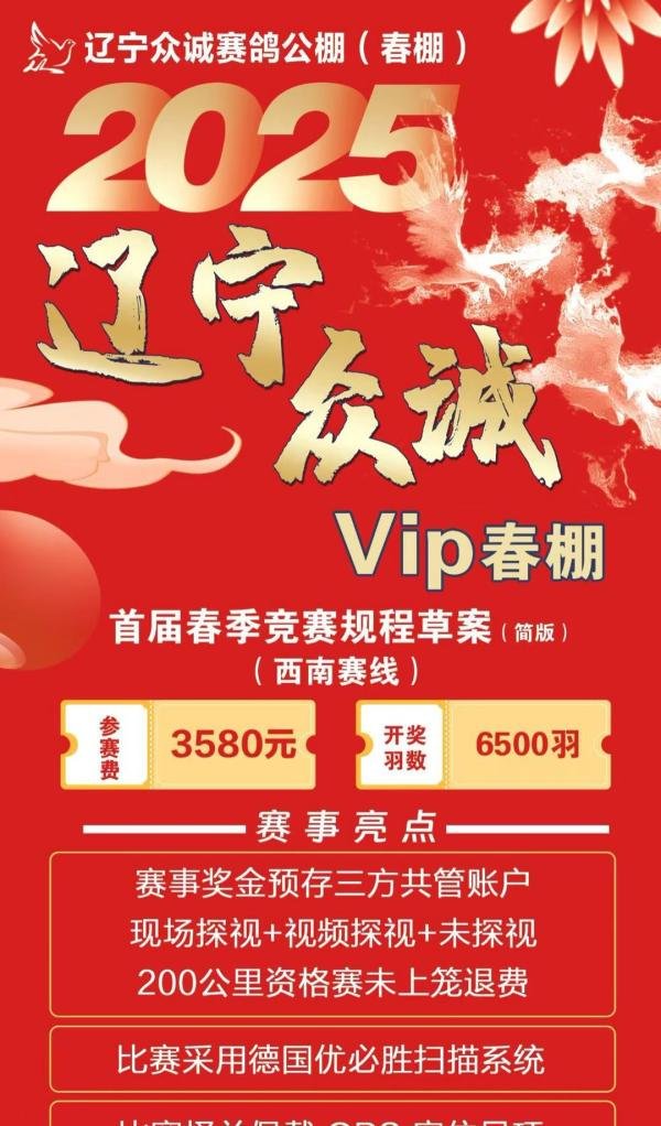 探索 2025 届春辽宁众诚赛鸽公棚 VIP 春棚首届章程魅力