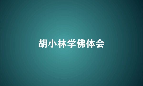胡小林学佛体会