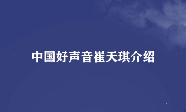 中国好声音崔天琪介绍