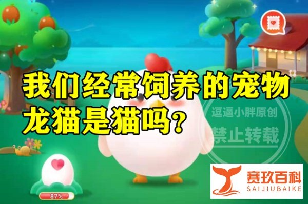 我们经常饲养的宠物龙猫是不是猫？蚂蚁庄园答案