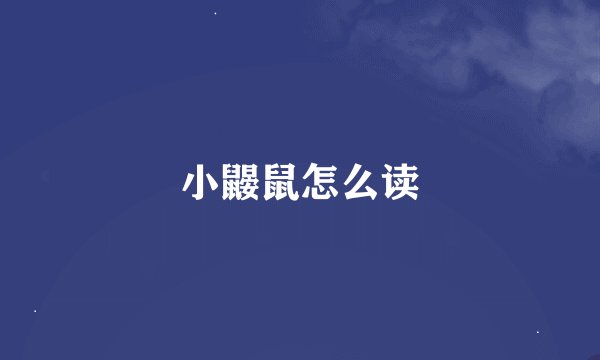 小鼹鼠怎么读