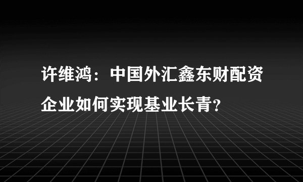 许维鸿：中国外汇鑫东财配资企业如何实现基业长青？