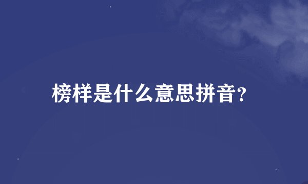 榜样是什么意思拼音？