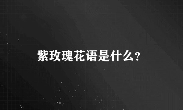 紫玫瑰花语是什么？