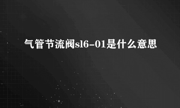气管节流阀sl6-01是什么意思