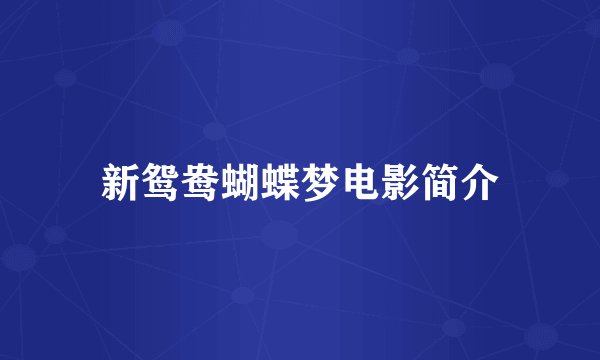 新鸳鸯蝴蝶梦电影简介