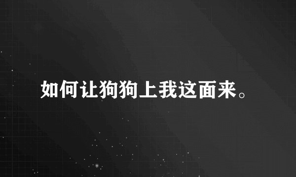 如何让狗狗上我这面来。