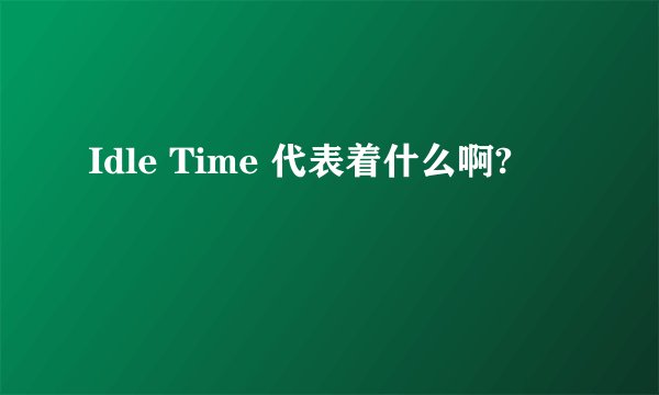 Idle Time 代表着什么啊?