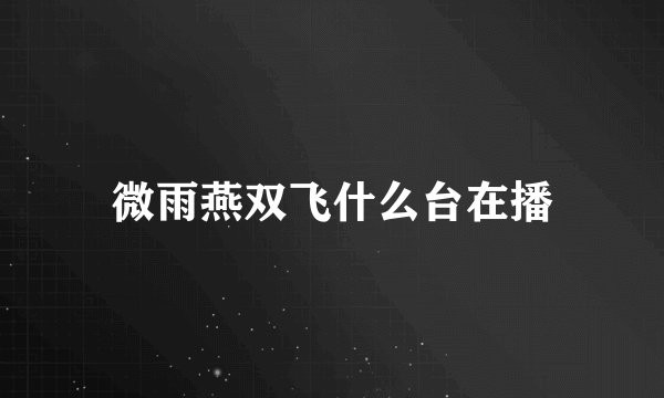 微雨燕双飞什么台在播